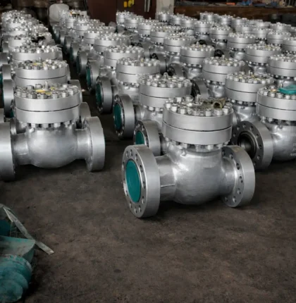 Swing Check Valve
